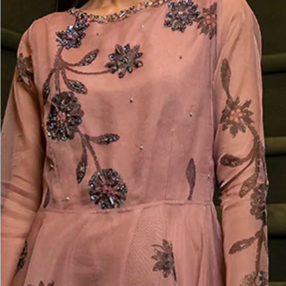 Pakistani embellished light pink organza body-cut dress - Picture 3 of 5